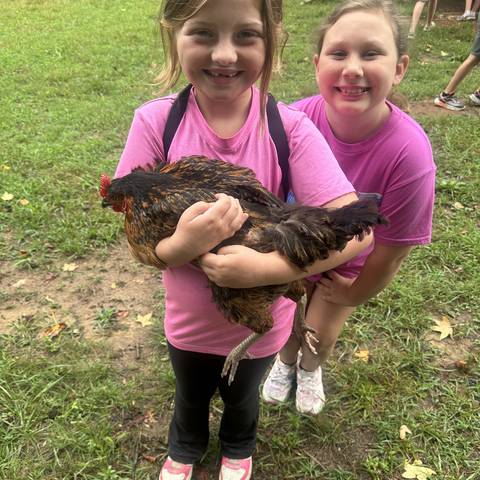 Camper holding a chicken
