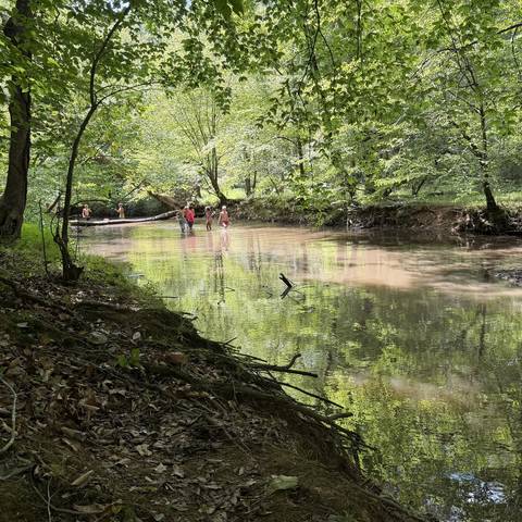 Creek running through the woods at camp